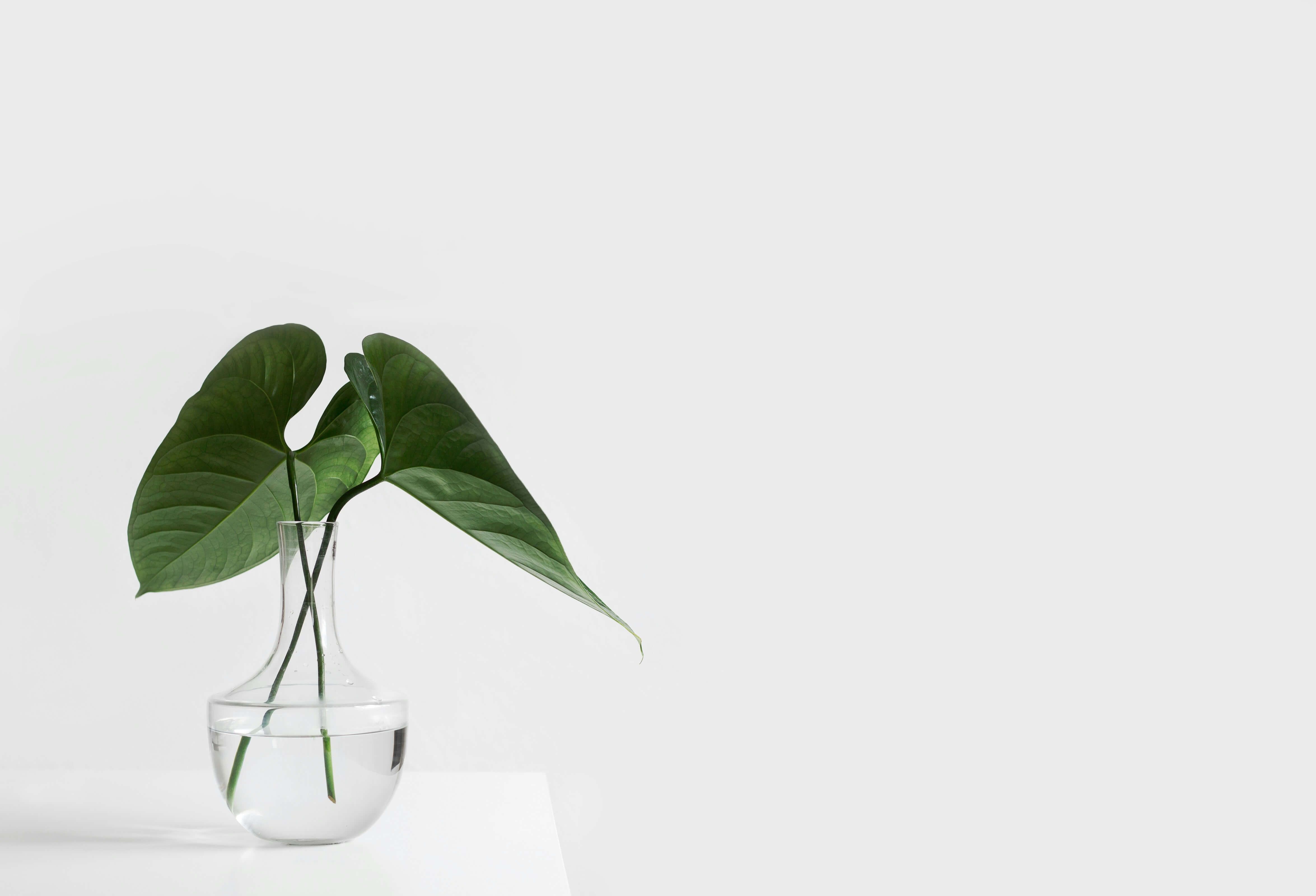 10 tips for budget-friendly marketing