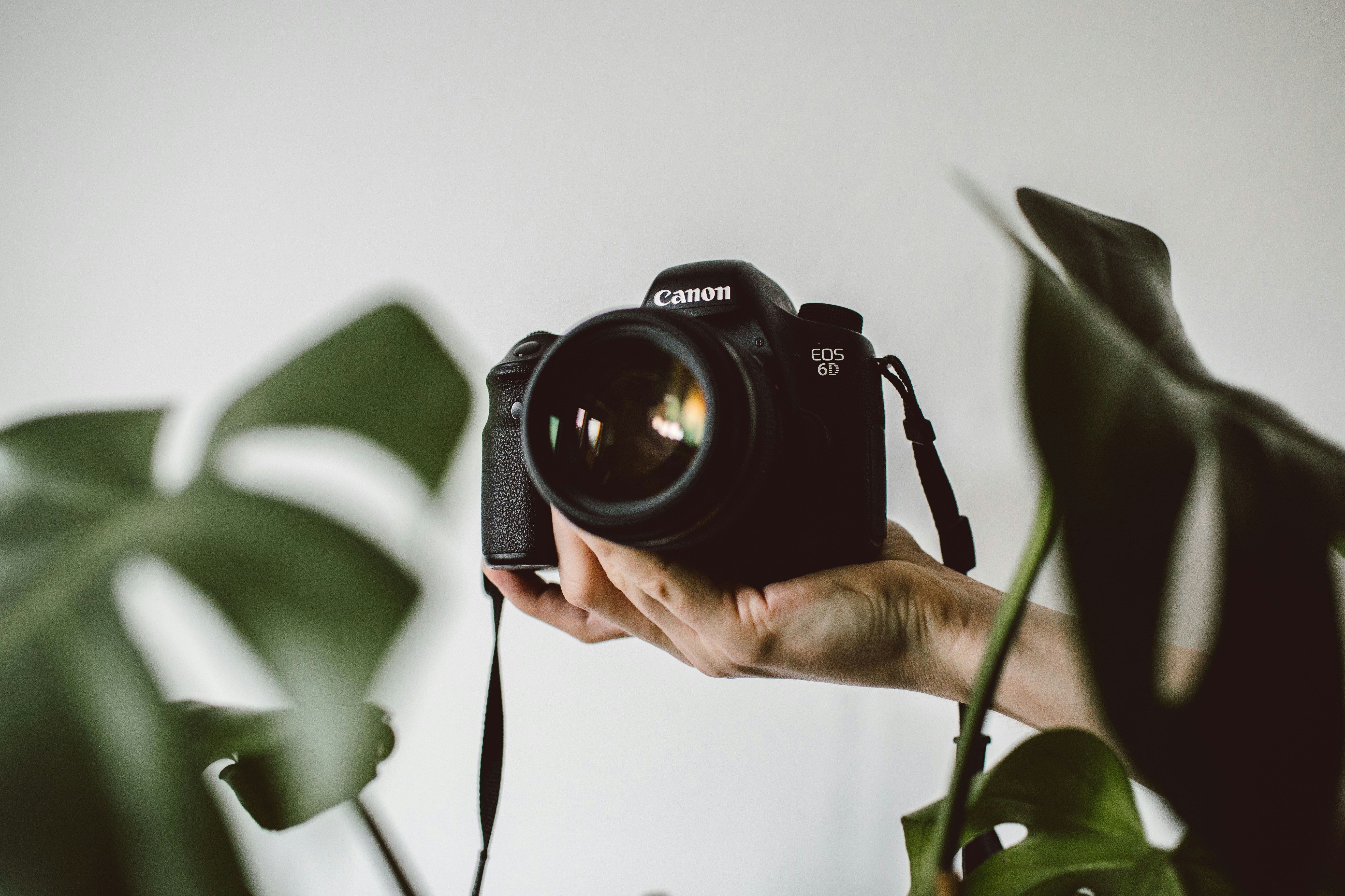 Few Tips from Appointli: How can you improve your Photography in 2024